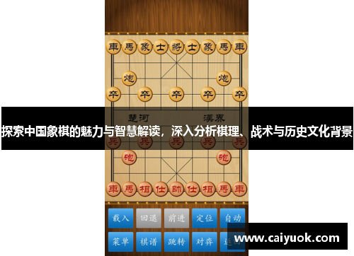 探索中国象棋的魅力与智慧解读，深入分析棋理、战术与历史文化背景