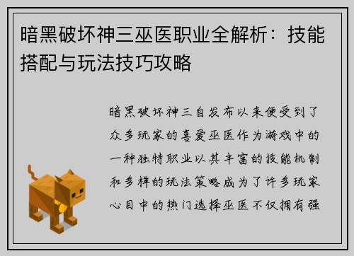 暗黑破坏神三巫医职业全解析：技能搭配与玩法技巧攻略